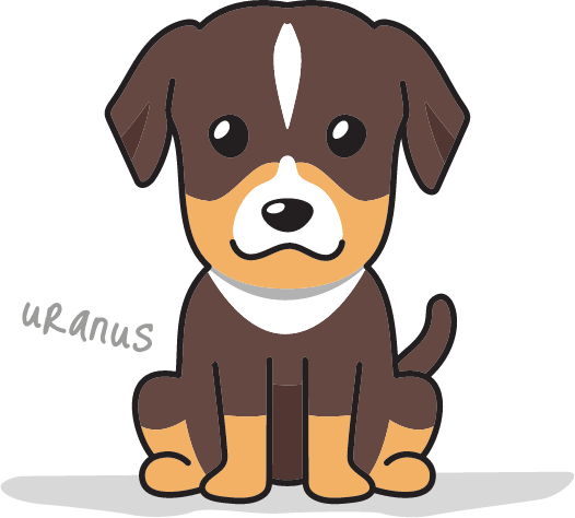 Waterdog - Tarifs chiens géants