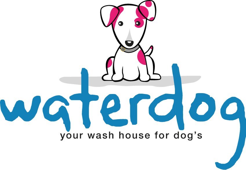 Waterdog - Logo